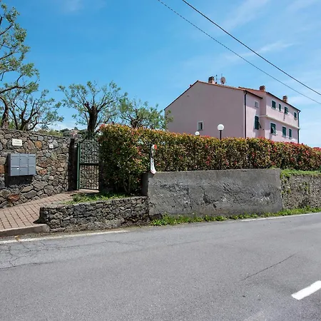 Zafferano - Mentuccia Celle Ligure