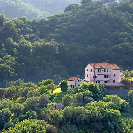Zafferano - Mentuccia * Celle Ligure